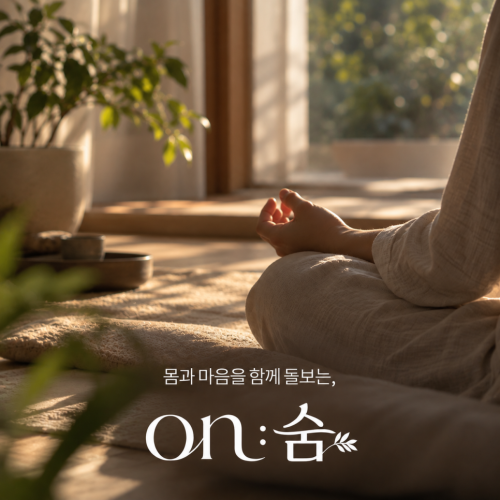 명상하는법, 생각을 비우려 할수록 실패하는 초보자를 위한 명상 가이드