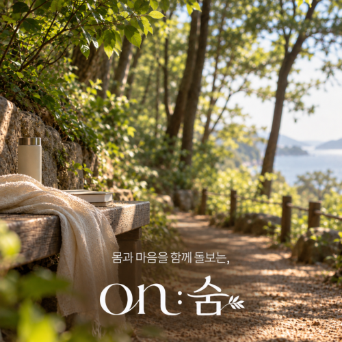부산 시니어 웰니스, 은퇴 후 동행명상과 숲길 산책으로 되찾는 삶의 여유
