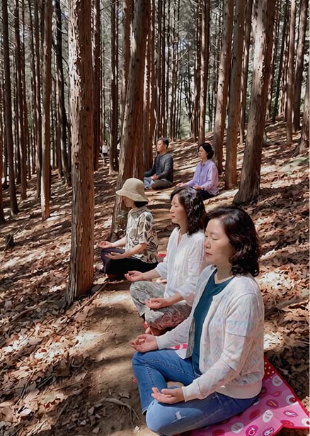 삶으로 흐르다