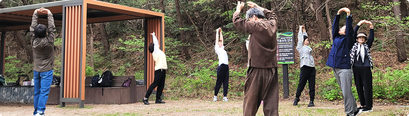 회복 프로그램